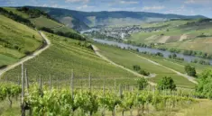 6 skjulte vinmarker i Douro-dalen, som du kan vandre til