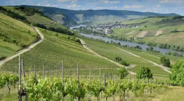 6 skjulte vinmarker i Douro-dalen, som du kan vandre til