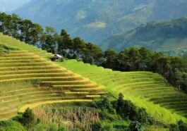 7 trin til en klimapolitik for din rejseblog