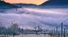 Hvor finder du Mendozas smukkeste vingårde?