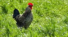 Hvordan indgår du B2B-samarbejder via LinkedIn?