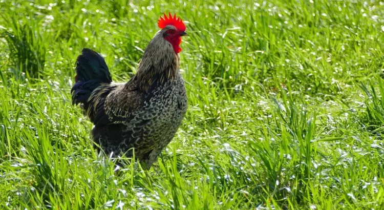 Hvordan indgår du B2B-samarbejder via LinkedIn?