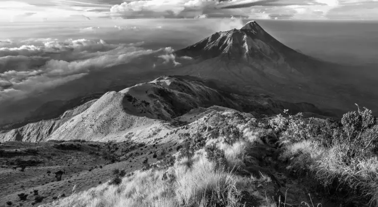 Hvordan sælger du rejseforedrag til biblioteker?