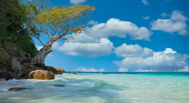 Skal din rejseblog i Google Discover - og hvordan gør du?