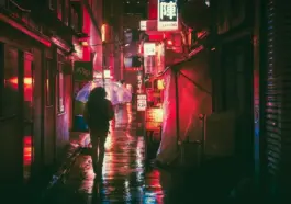 Skal jeg som dansker have visum til Expo 2025 i Osaka?