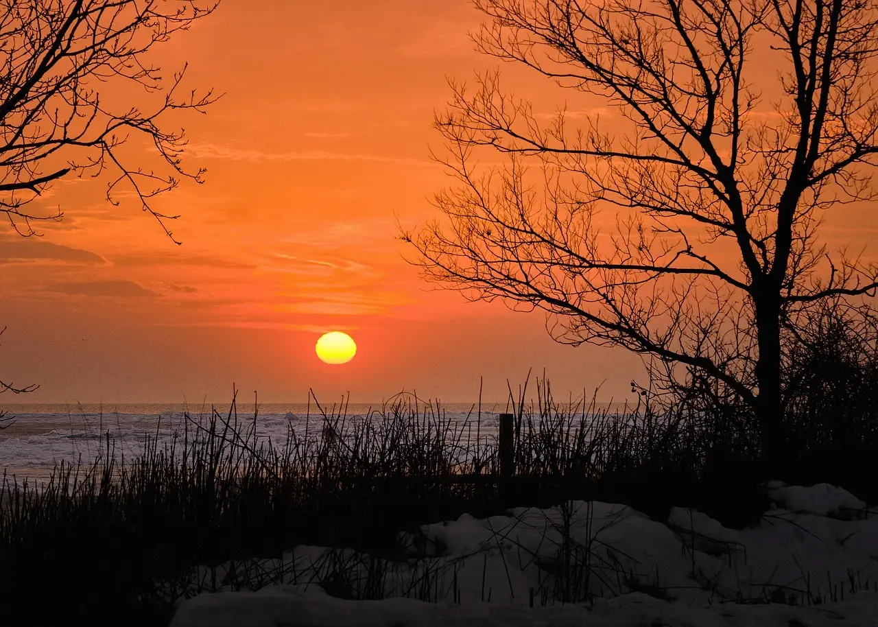 Sø: tips til dit krydsord