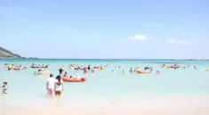 Vulkanøen Jeju: kratervandringer, teplantager og kystklipper