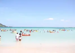 Vulkanøen Jeju: kratervandringer, teplantager og kystklipper