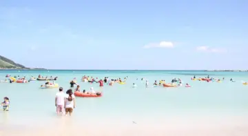 Vulkanøen Jeju: kratervandringer, teplantager og kystklipper